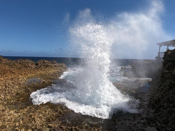 Perfect Day Tour - Small Group! - Key Landmarks of Curacao