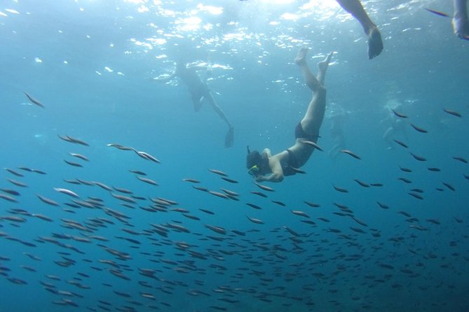 PHI PHI ISLAND - Sunrise Trip From Phi Phi Don By Phi Phi Local Tour - Highlights of the Tour