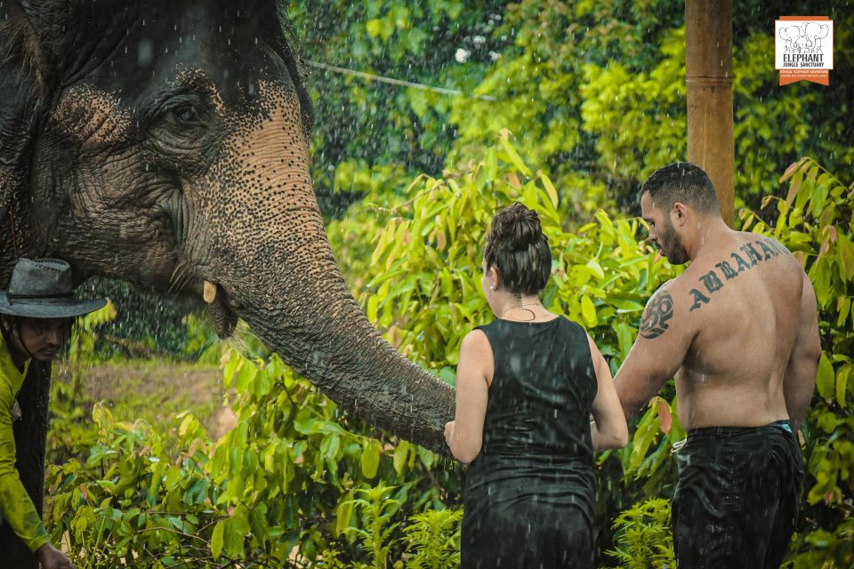 Phuket: Elephant Jungle Sanctuary Half-Day Visit With Meal - Packing Recommendations