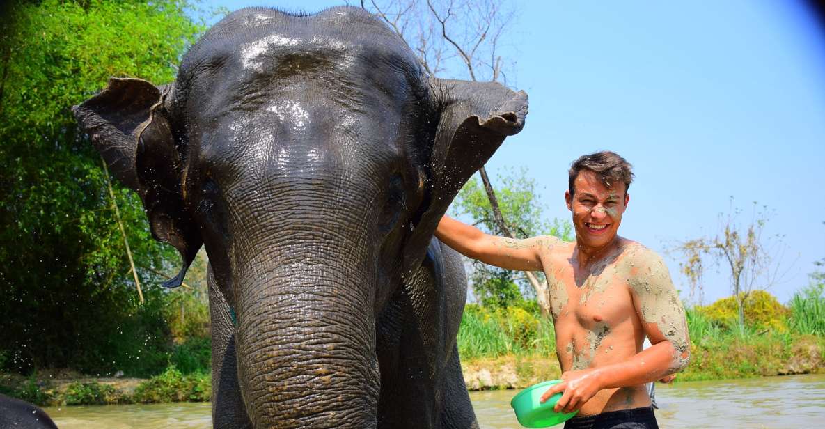 Phuket: Elephant Save & Care Program Tour - Frequently Asked Questions