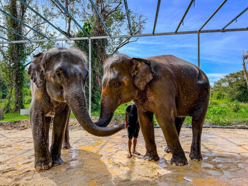 Phuket: Phuket Elephant Care Sanctuary ECO Tour - Location of the Sanctuary