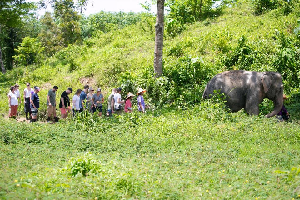 Phuket: Phuket Elephant Sanctuary, Wat Chalong & More - Included Logistics and Amenities