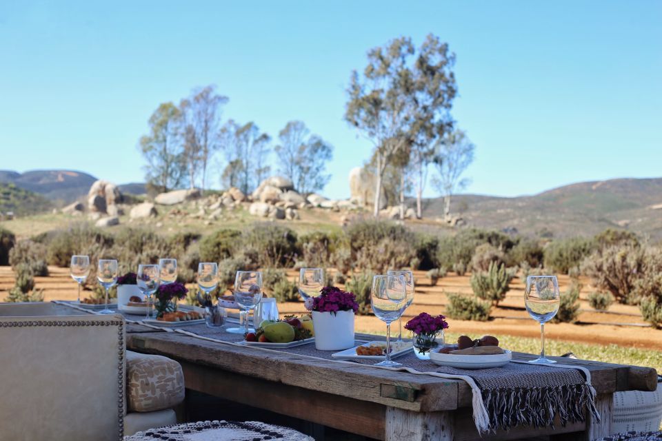 Picnic Among Lavender - Immersive Outdoor Experience