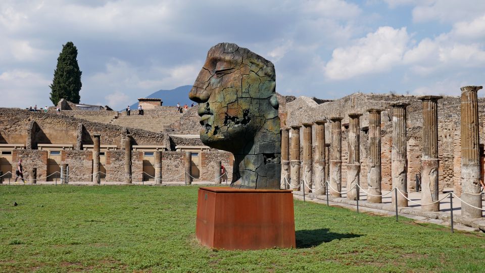 Pompeii and Herculaneum: Private Tour From Naples - Customer Reviews