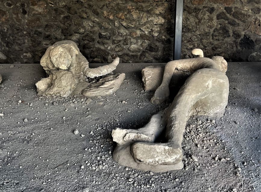 Pompeii : Theaters and the Garden of Fugitives