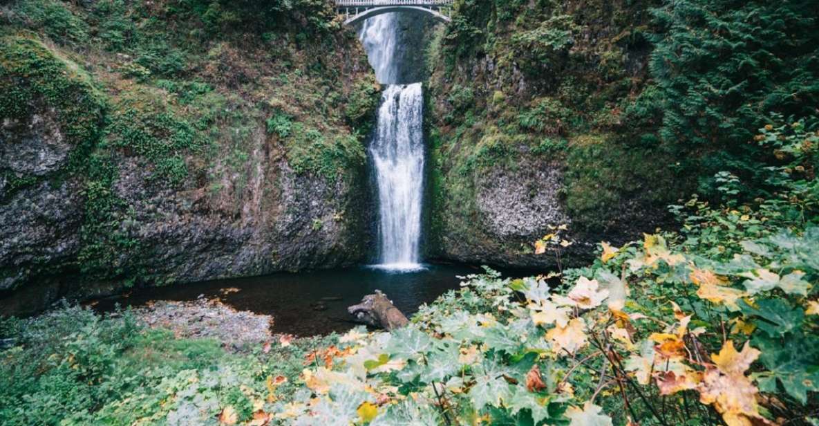 Portland: Columbia River Gorge Waterfalls Afternoon Tour - Pricing