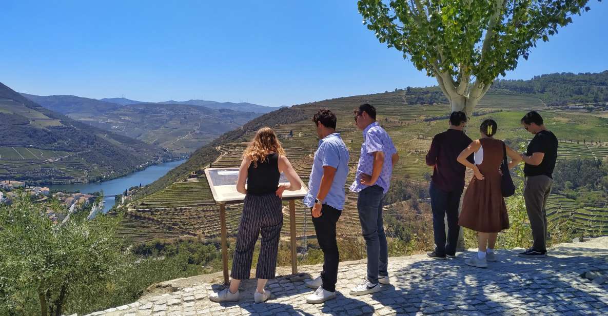 Porto: Douro Valley Wine Tour With Tastings, Boat, and Lunch - Important Considerations