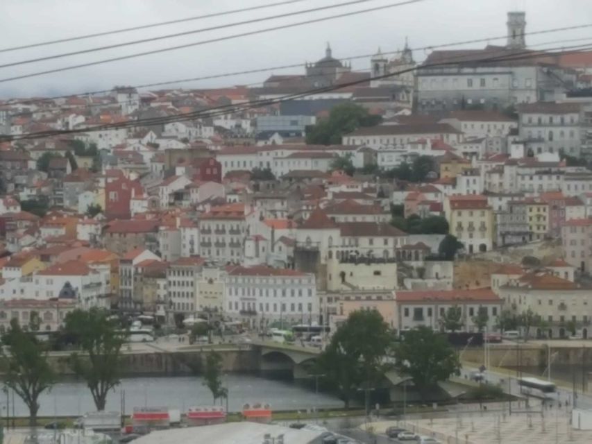 Porto: Half-Day Small Group City Tour - Free Time Activities