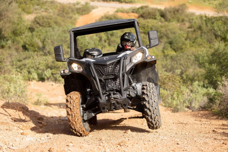 Porto Santo: 90 Minutes Off-Road Buggy Tour - Safety and Precautions