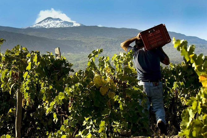 Private 6-Hour Tour of Three Etna Wineries With Food and Wine Tasting - Cancellation Policy