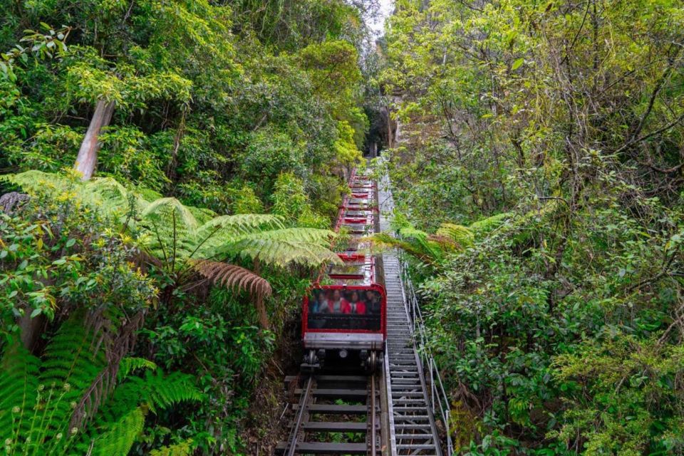 PRIVATE All Inclusive Blue Mountains & Scenic World Tour - Frequently Asked Questions