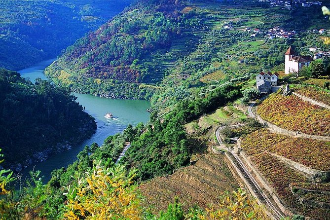 Private Douro Valley Wine Tour: 2 Wine Estates, Lunch and Cruise - Lunch in the Douro Valley