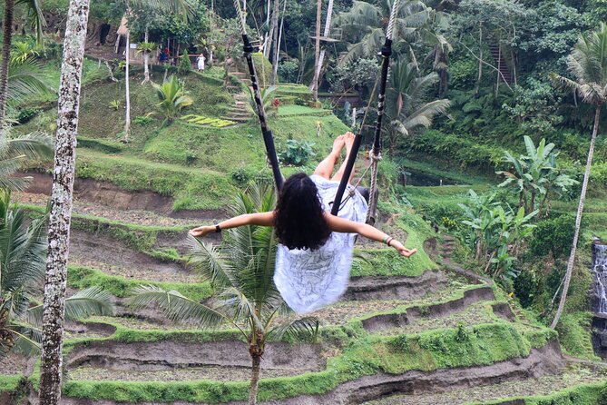 Private Full Day Best of Ubud Tour - Driver Guide