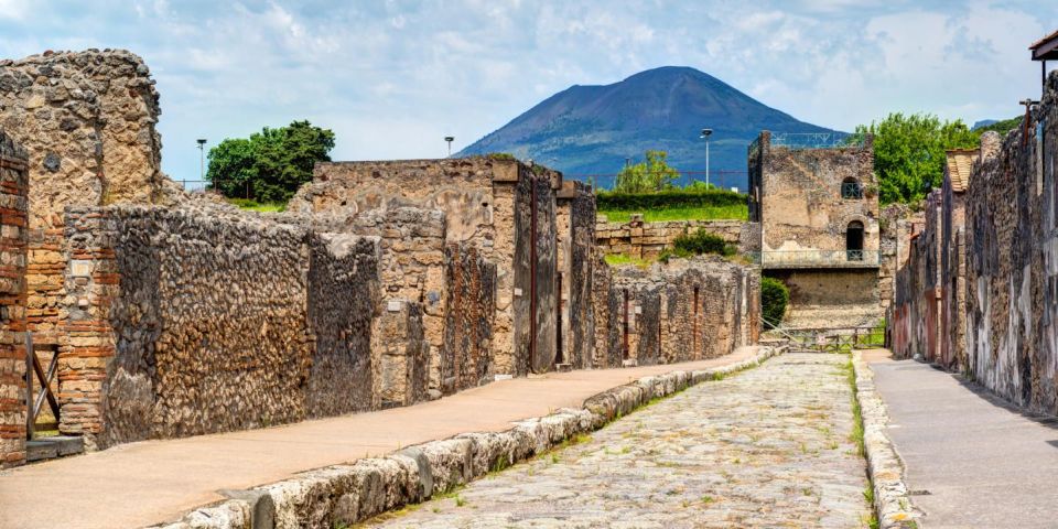 Private Pompeii Tour and Wine Tasting - Transfer to Winery