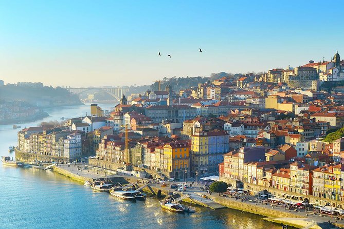 Private Tour to Porto From Lisbon Full Day - Private Driver and Transport