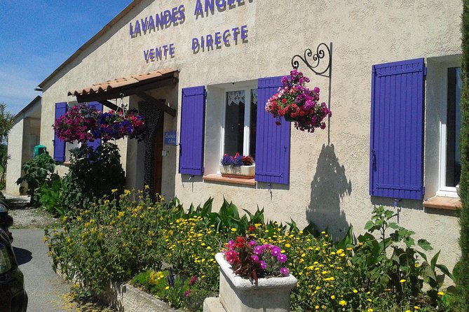 Provence Lavender Fields Tour From Aix-En-Provence - Tour Group Size