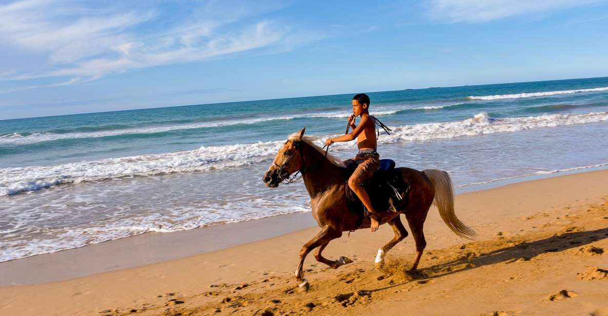 Puerto Plata: Horseback Riding on the Beach - Important Considerations