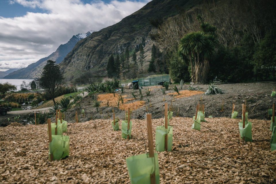 Queenstown: TSS Earnslaw Cruise & Walter Peak Eco Experience - Recent Traveler Reviews