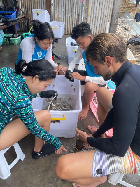 Reef Rehabilitation Course & Snorkeling - Local School Engagement (Saturdays)