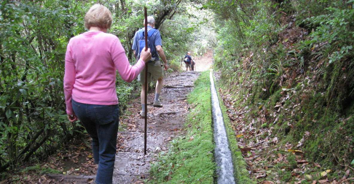 Ribeiro Frio / Portela - Levada Walk - Directions