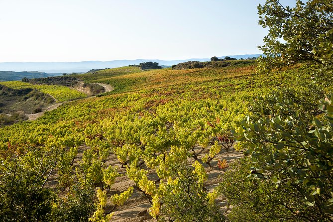 Rioja Wine Tour: 2 Wineries Visit With Tasting From San Sebastian - Tour Logistics and Details
