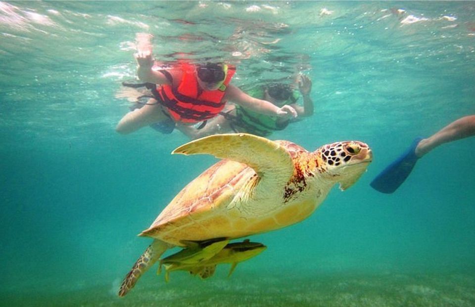 Riviera Maya: Tulum Guided Tour and Akumal Swim With Turtles - Frequently Asked Questions