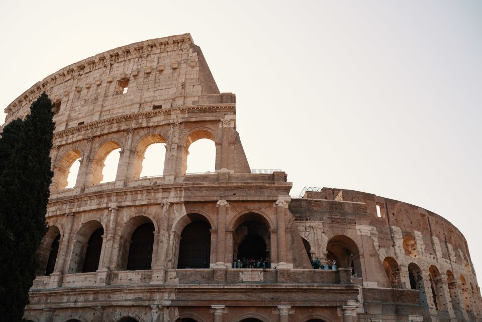 Rome: Colosseum and Forum Private Guided Tour - Discovering Palatine Hill