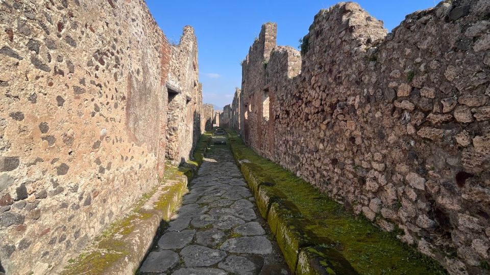 Rome: Pompeii Tour With Wine and Lunch by High Speed Train - Transportation to Pompeii