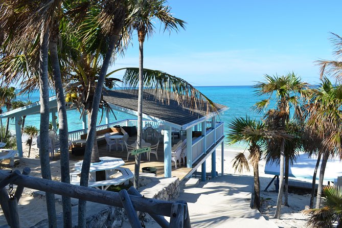 Rose Island Bahamas Original Swimming Pigs and Snorkeling - Trip Logistics and Capacity