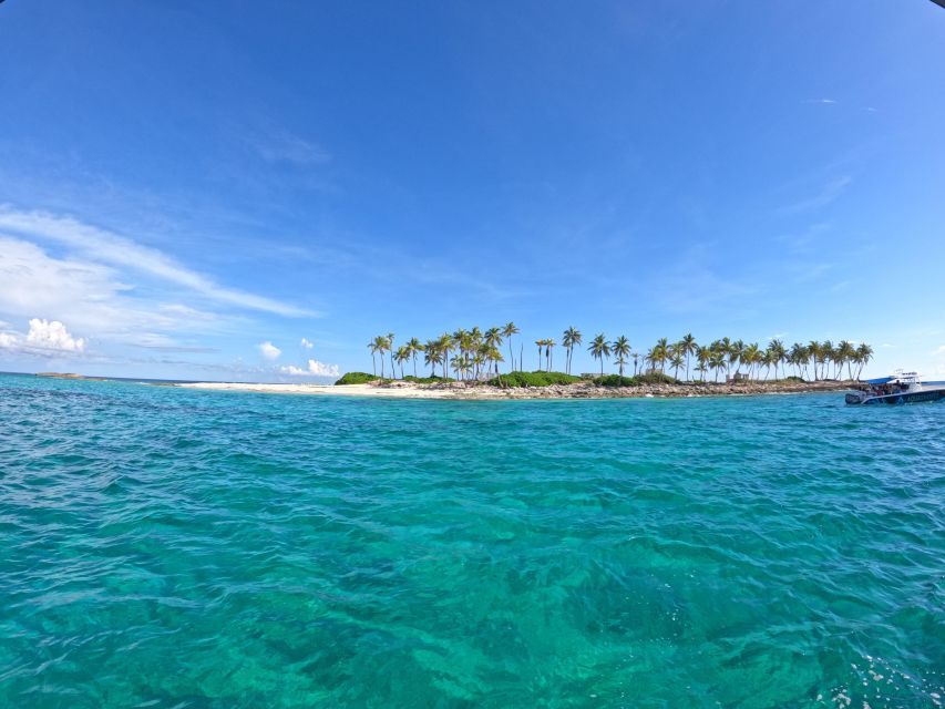 Rose Island: Swimming Pigs, Snorkel and Lunch by Speed Boat - Important Information