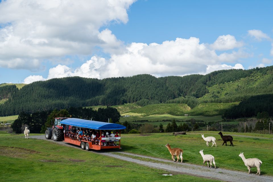 Rotorua: Agrodome Farm Tour With Show and Produce Tasting - Important Information