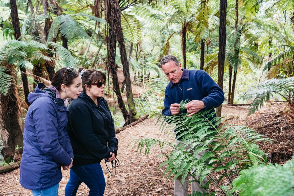 Rotorua: Explore The Lakes Half-Day Morning Tour - Safety Information