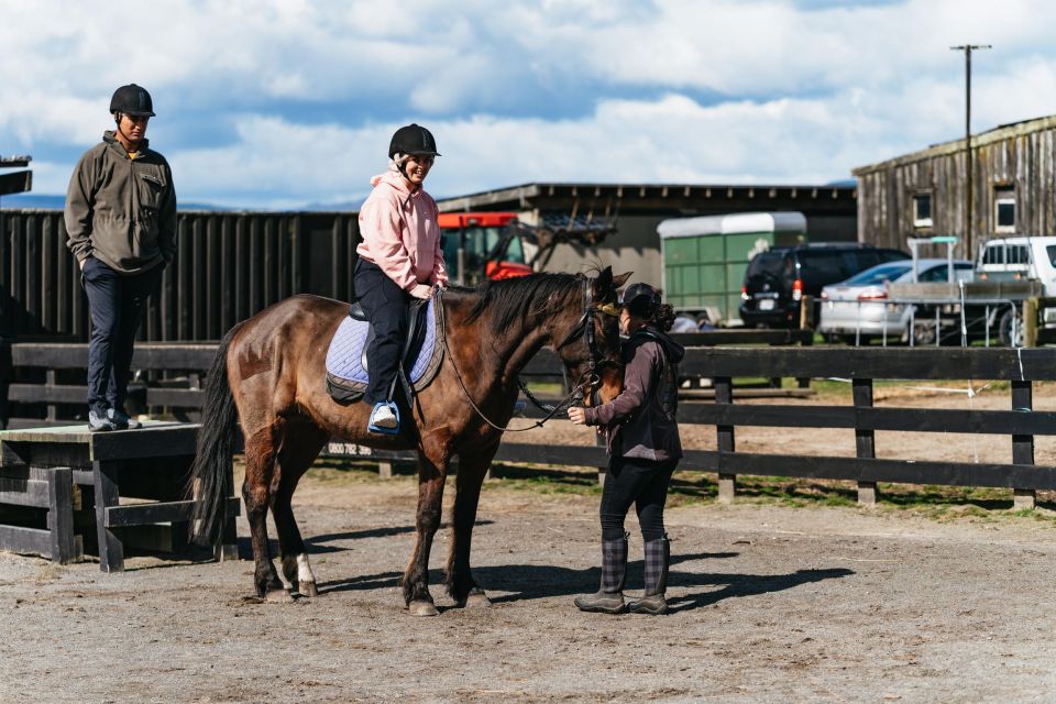 Rotorua: Guided Horseback Riding Day Trip on Mt. Ngongotaha - Pricing and Duration