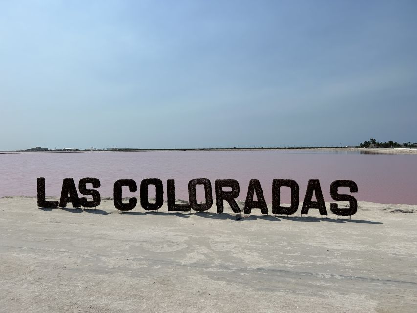 Safari Tour Around the Pink Lakes of Las Coloradas - Inclusions and Exclusions Overview