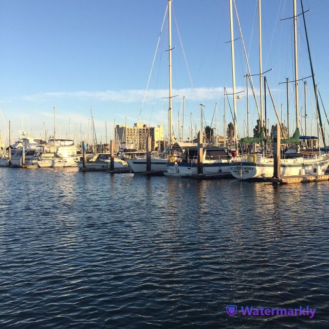 San Diego: Half-Day Marine Wildlife Tour With Lunch - Frequently Asked Questions