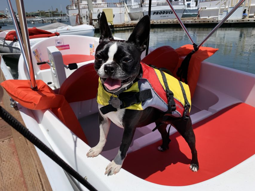 San Diego: San Diego Bay Dog-Friendly Eco Pedal Boat Rentals - Location and Hours