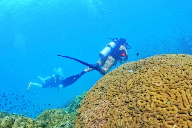 Scuba Diving for Certified Divers in Phu Quoc Island - Booking and Cancellation Policy