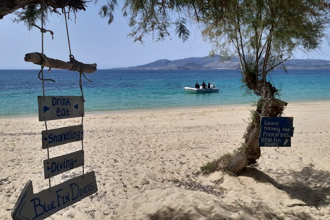 Scuba Diving in Naxos by Bluefindivers - Dive in Greece - Amazing Diving Spots - Cancellation and Rescheduling Policy