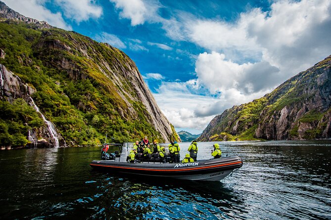 Sea Eagle Safari From Svolvær to Trollfjorden - Weather Considerations and Potential Cancellations