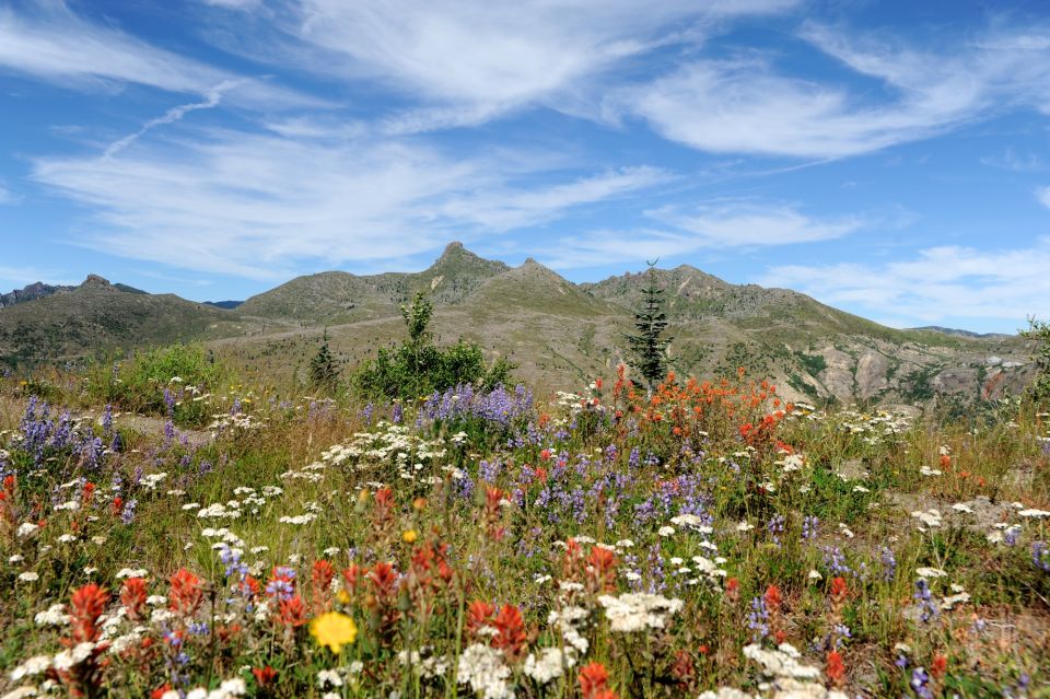 Seattle: Mt. St. Helens National Monument Small Group Tour - Local and Natural History