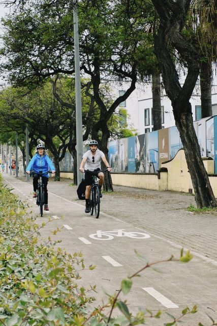 Self-Guided E-Bike Road Tour - Funchal to Câmara De Lobos - Customer Feedback