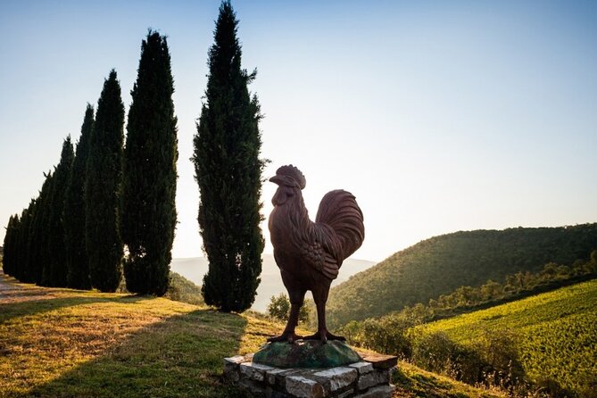 Semi-Private Deep Wine Chianti and San Gimignano From Florence - Chianti Winery Visits and Lunch