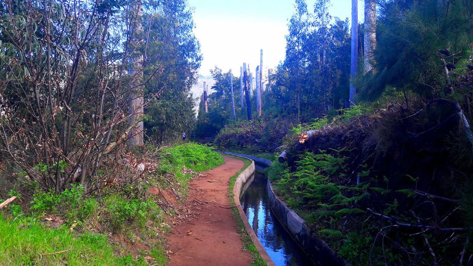 Serra De Água Valley Levada Walk - Traveler Reviews