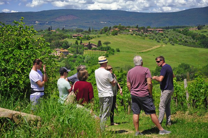 Siena: A Wine Tour and Tasting Experience - Tour Details and Requirements