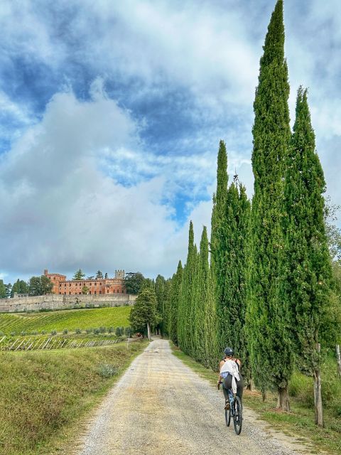 Siena: Chianti Classico Guided Cycling Tour - Chianti Classico Region