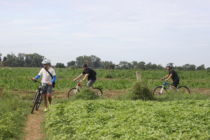 Silk Island Cycling Adventure & Lunch With Locals - Tour Highlights and Inclusions