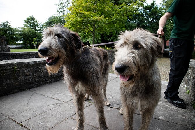 Skip the Line: Bunratty Castle and Folk Park Admission Ticket - Bunratty Walled Garden