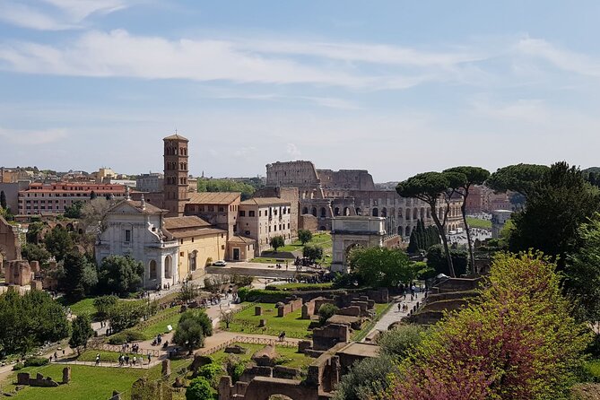 Skip The Line: Colosseum, Roman Forum, Palatine Hill Guided Tour - Discovering the Roman Forum