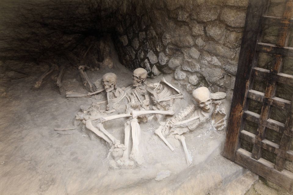 Skip the Line in Herculaneum - Half Day Group Tour - Tour Guide