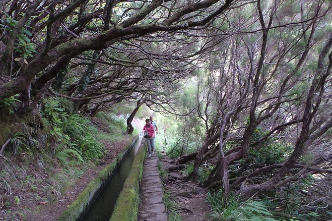 Skywalk 4x4 Experience and the Rabacal 25 Fountains Levada Walk - Additional Tour Information